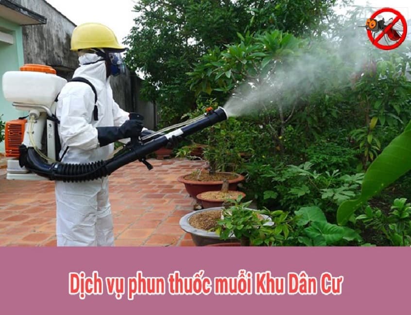 Dịch vụ phun thuốc muỗi tại Thanh Hóa