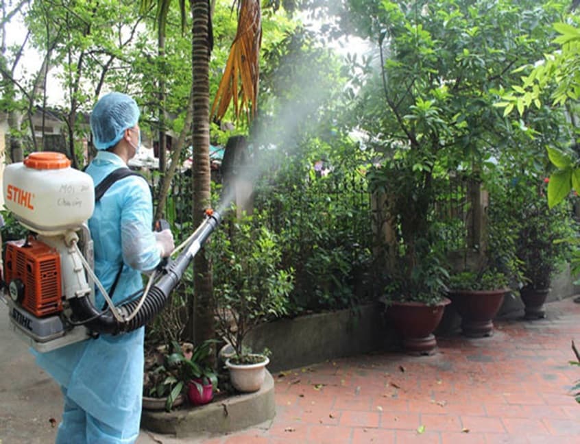 Tầm quan trọng của dịch vụ phun thuốc muỗi